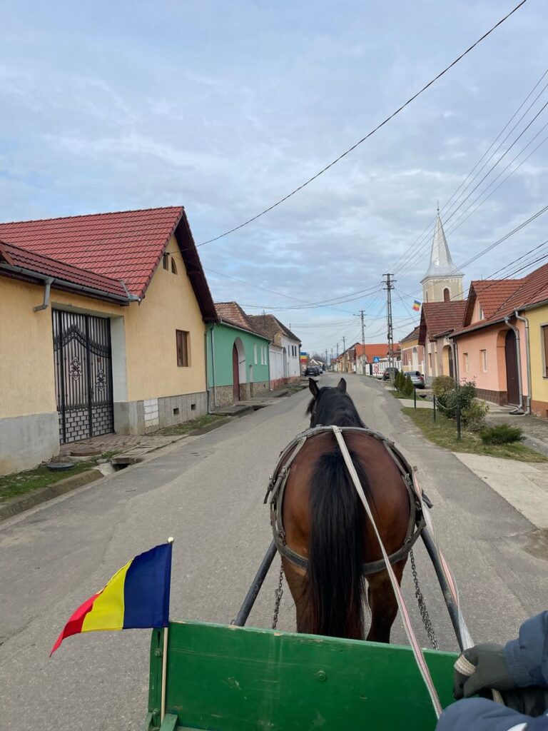 Drumeții și Traseu călare în Transilvania Drumeții și Traseu călare în Transilvania
