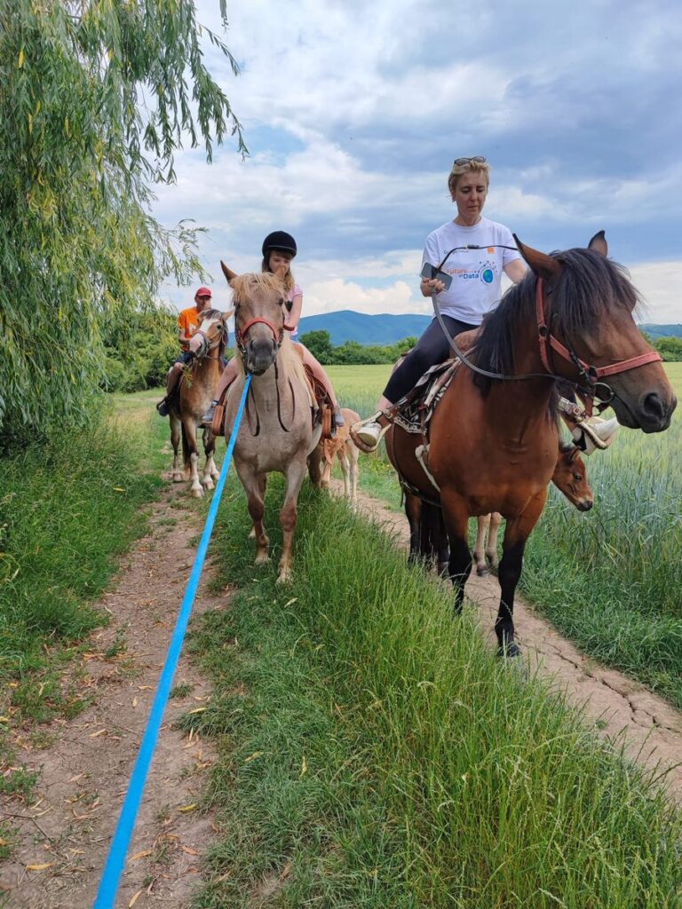 Drumeții și Traseu călare în Transilvania Drumeții și Traseu călare în Transilvania