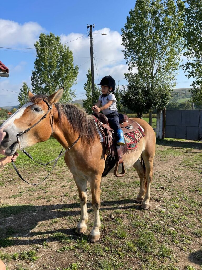 Drumeții și Traseu călare în Transilvania Drumeții și Traseu călare în Transilvania