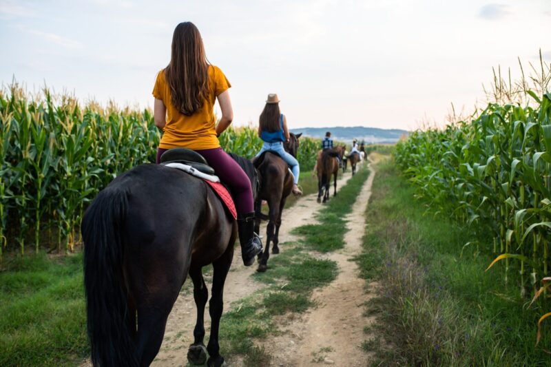 Vacanță în Transilvania cu copiii
