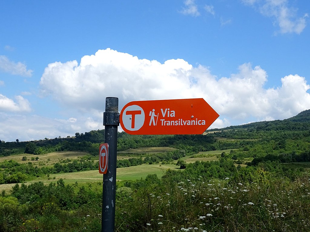 Oferte Vacanțe Familii Cu Copii Oferte vacanțe familii cu copii