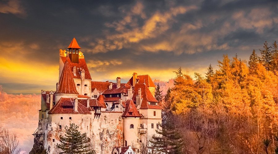 Bran Castle Experience